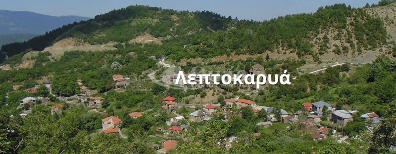 Λεπτοκαρυά, Ζαγόρι, Ιωάννινα, ,Οικόπεδο,Πωλείται,Λεπτοκαρυά, Ζαγόρι,5767