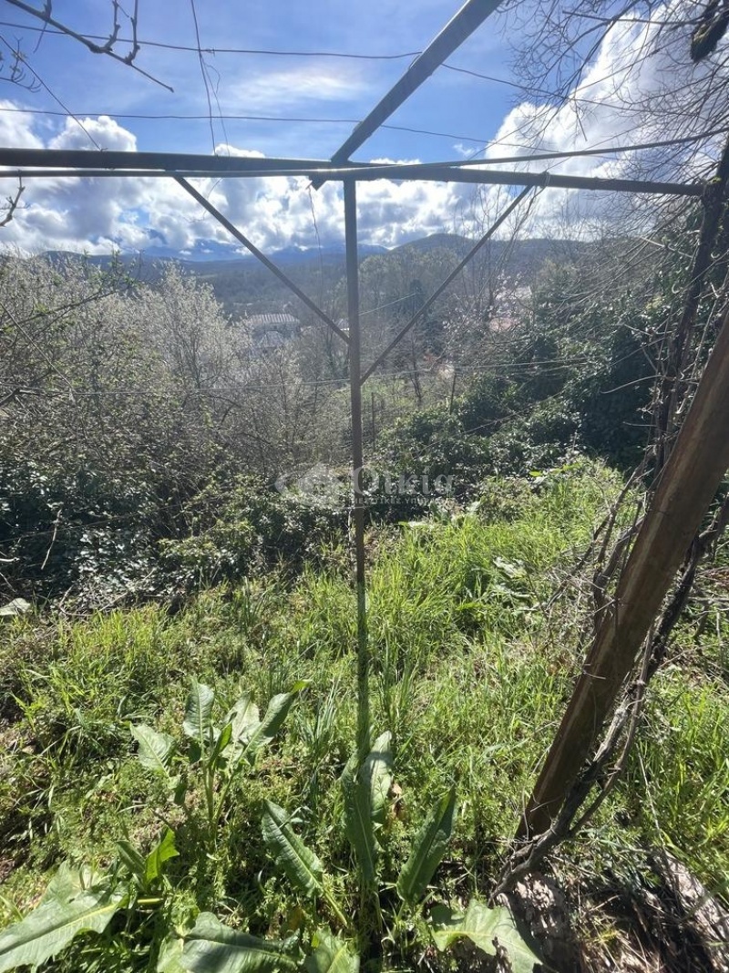 Ωραιόκαστρο Πωγωνίου, Ιωάννινα, 3 Υπνοδωμάτια Υπνοδωμάτια, ,2 Τουαλέτες/ΛουτράΤουαλέτες/Λουτρά,Μονοκατοικία,Πωλείται,Ωραιόκαστρο Πωγωνίου,5857