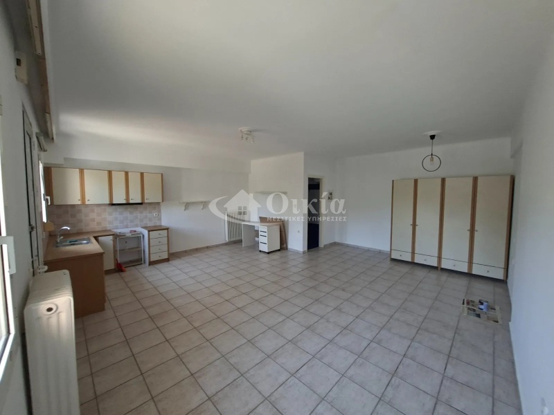 Σκοπούλη, Ιωάννινα, 1 Δωμάτιο Δωμάτια,1 Τουαλέτα/ΛουτρόΤουαλέτες/Λουτρά,Διαμέρισμα,Ενοικίαση,Σκοπούλη,6056